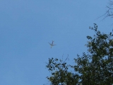 A reminder in the sky that civilization is never far off.