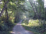 This is part of a very long and mostly straight section that runs for over 2 km.