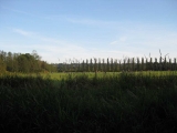 Approaching the athletic fields.