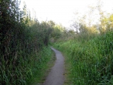 This part of the trail is very cool and refreshing in the summer.