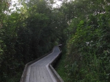 The second walkway is quite long and zig-zags a bit.