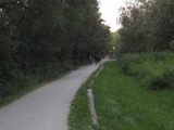 The trail ends with a long stretch that is mostly straight. Horses are allowed here.