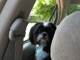 Duncan July 2008
