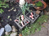 A bloody doll torn to bits in the front garden