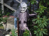Scary skeleton (and my leg in a mirror)