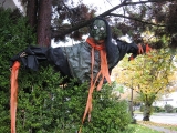 Halloween 2009
