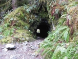 A spooky tunnel made in the 1800s