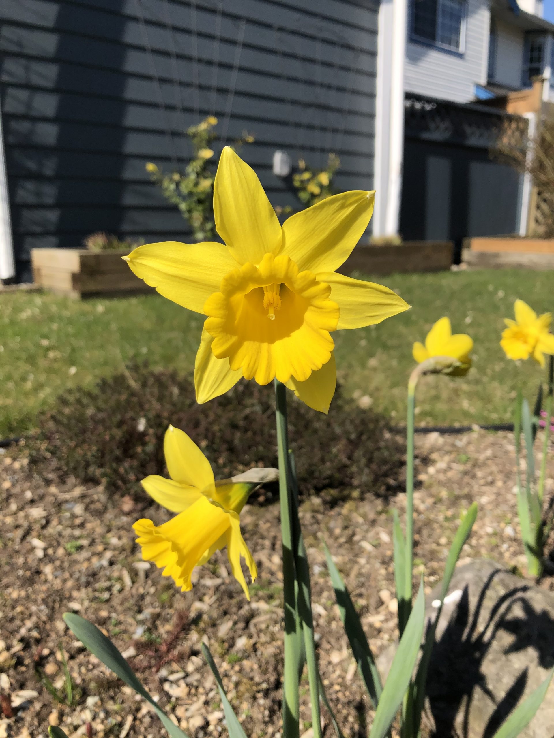 Photo of the Day, March 20, 2020 (first day of spring edition