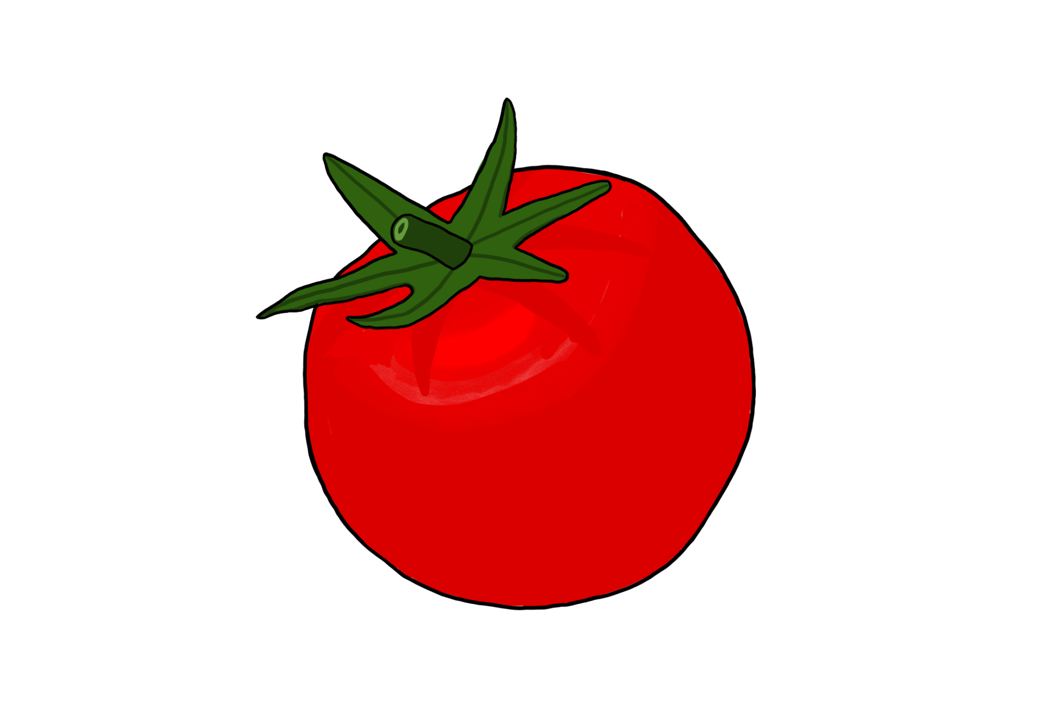Drawing a Day. Day 8 TOMATO
