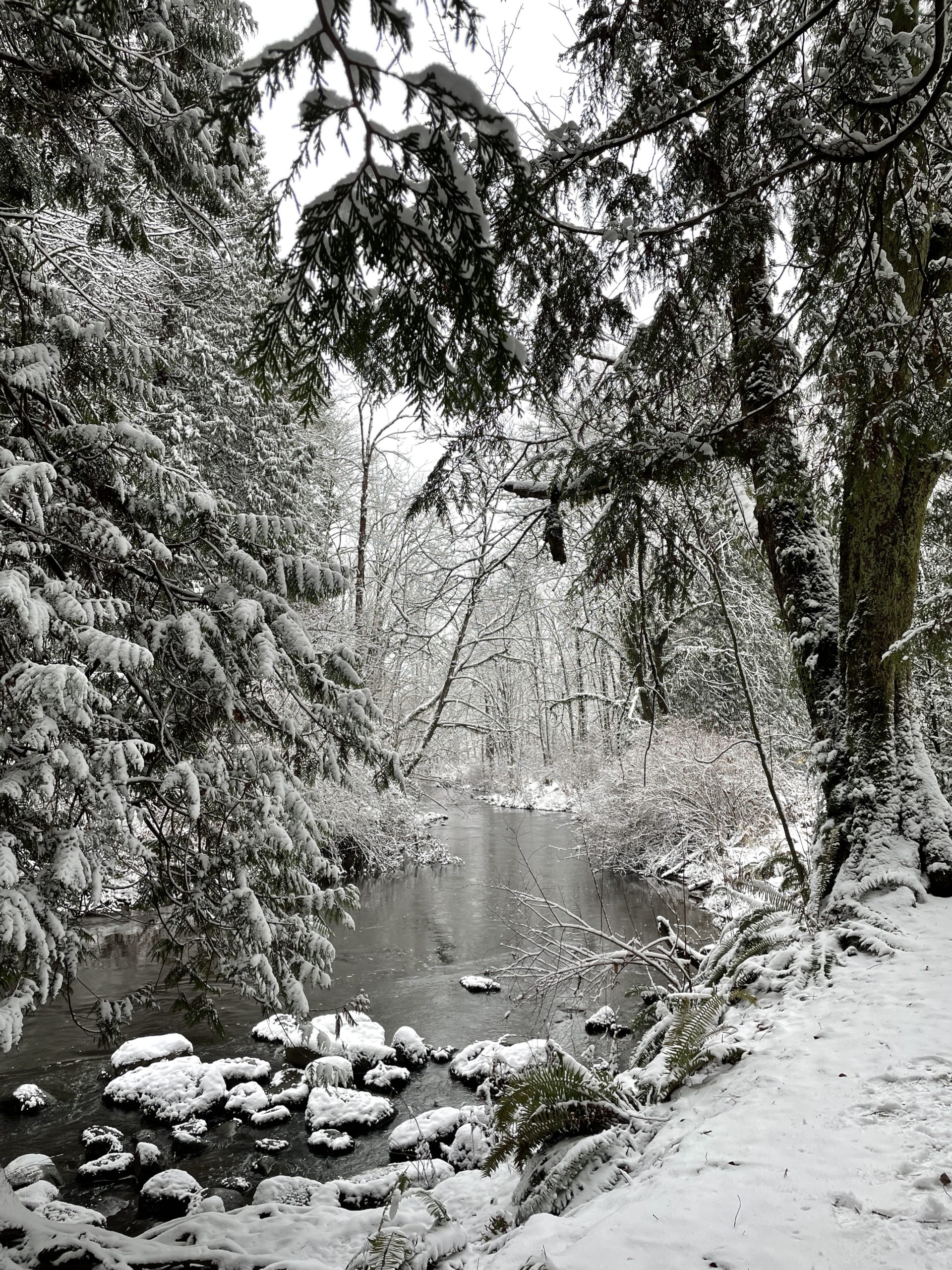 White Christmas 2021 (not a remake)