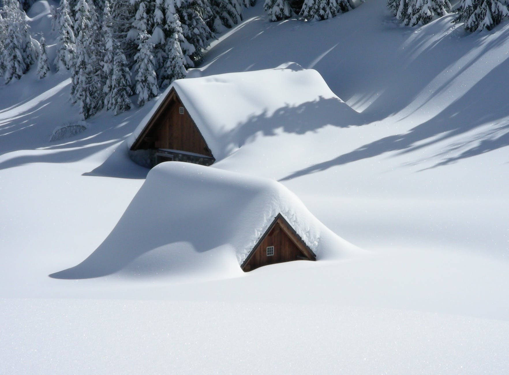 brown wooden house covered with snow near pine trees