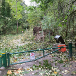 The Brunette River trail was a bit cluttered.