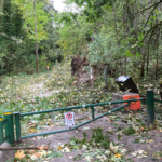 The Brunette River trail was a bit cluttered.