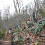 The 500 steps, with me in action figure pose bringing up the rear.