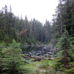 Blue Gentian Lake