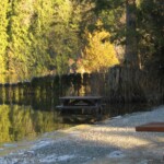 Mr. Duck, your picnic table is ready