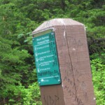 There was political graffiti on many signs. How weird.