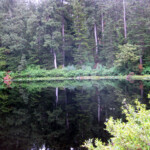 Lost Lake