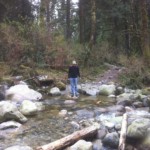 Remember, it's a walking stick, not a cane