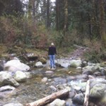 Remember, it's a walking stick, not a cane