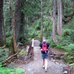 The trail starts out flat and tame, luring tourists in.