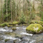 We will cross when the water is no longer churning and such trail_end