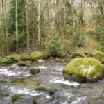 We will cross when the water is no longer churning and such trail_end