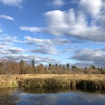 Calm water before the wind picked up