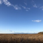 Marshland stretching out