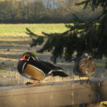 "I'm a pretty boy." "Yeah, whatevs."