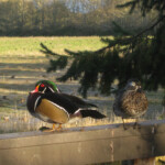 "I'm a pretty boy." "Yeah, whatevs."