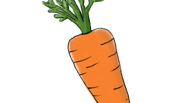 Carrot