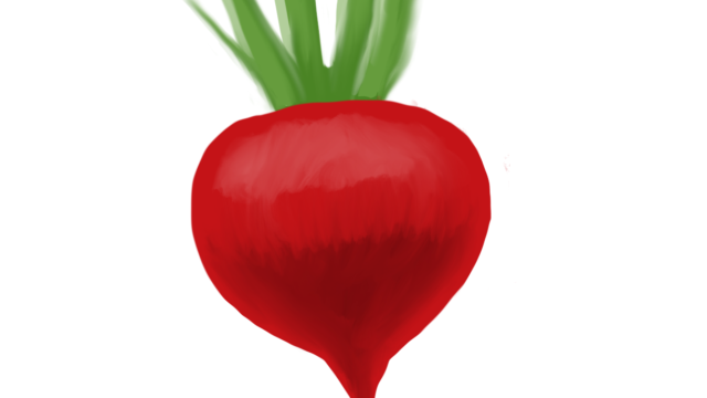Radish