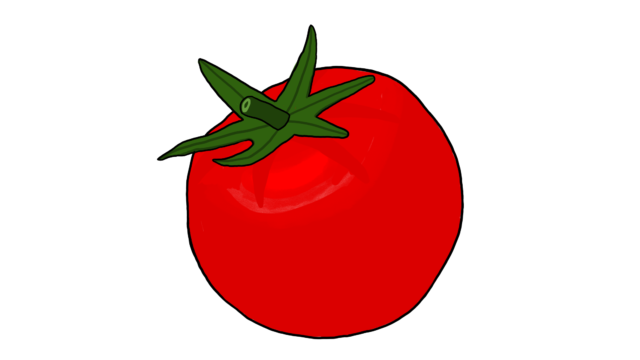 Tomato
