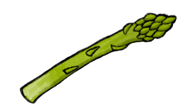 Asparagus