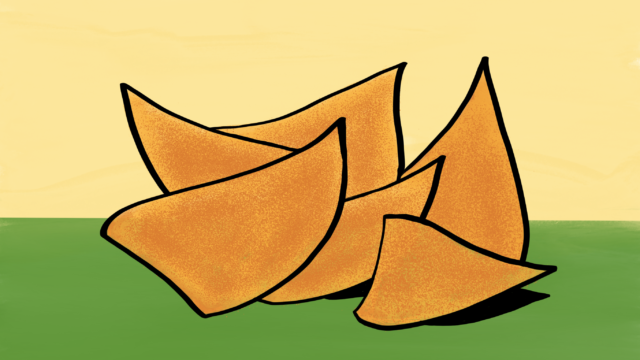 Favorite junk food (tortilla chips)