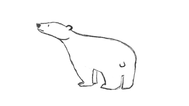 Bear sketch