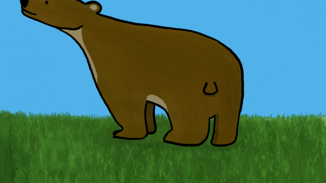 Bear