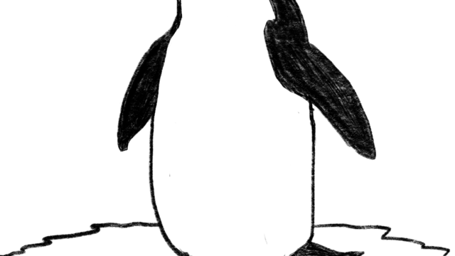 Penguin sketch