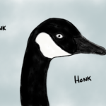 Canada goose, done with the 6B Pencil in Procreate.