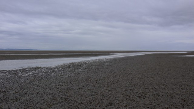 Tide out at Boundary Bay