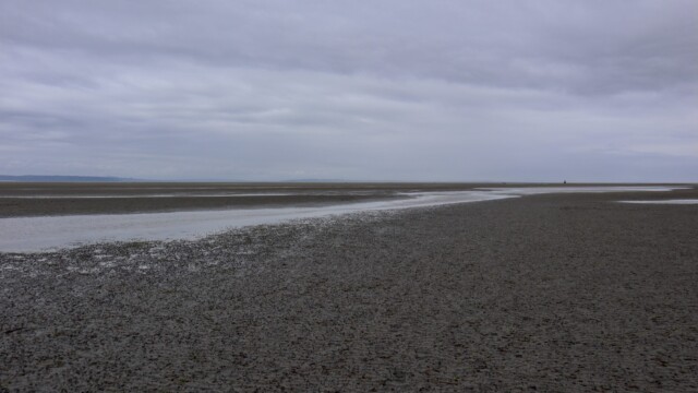 Tide out at Boundary Bay