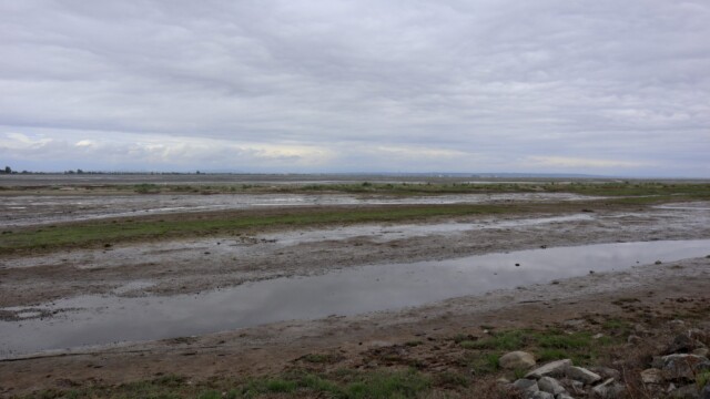 Another shot of the tidal flats of the bay