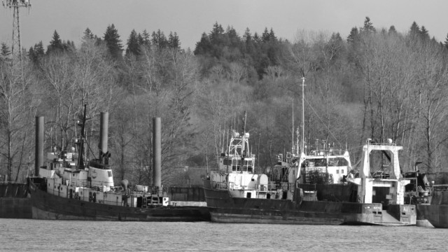 Ships berthed on the Fraser River