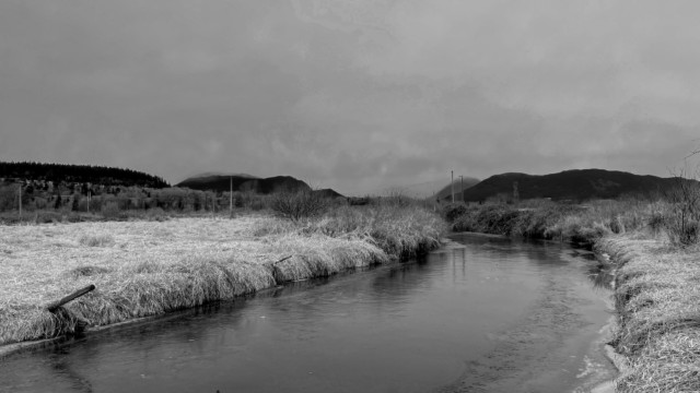 Frozen creek at Colony Farm