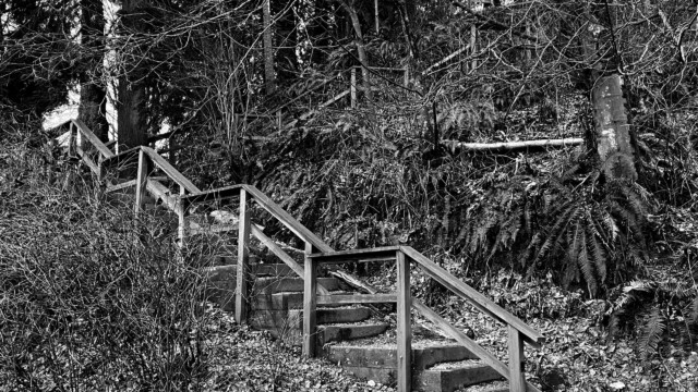 Wooden staircase at Lower Hume Park