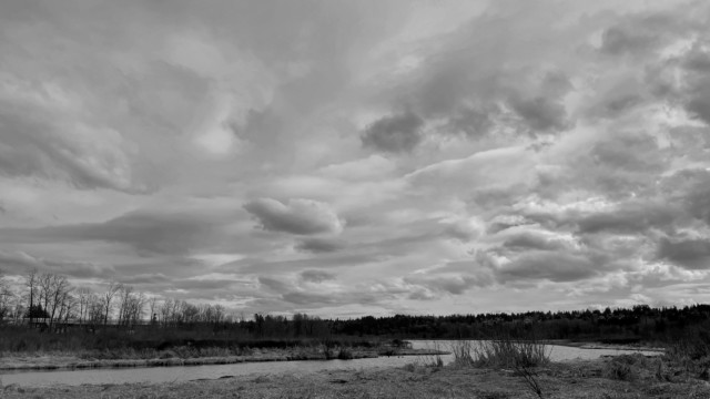 Winter at Burnaby Lake