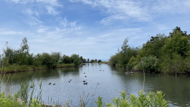 A clear pond at the sanctuary A clear pond at the sanctuary