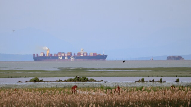 Cargo ship cruising past Reifel Bird Sanctuary Cargo ship cruising past Reifel Bird Sanctuary