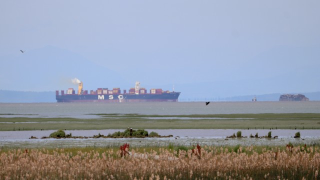 Cargo ship cruising past Reifel Bird Sanctuary Cargo ship cruising past Reifel Bird Sanctuary